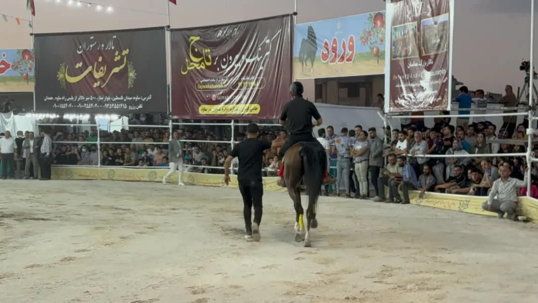 همایش کشوری سواره اسب در ساوه برگزار شد