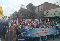راهپیمایی خودجوش مردم اراک در حمایت از فلسطین