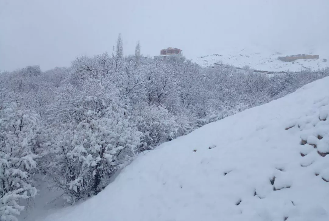 بارش برف در ساوه