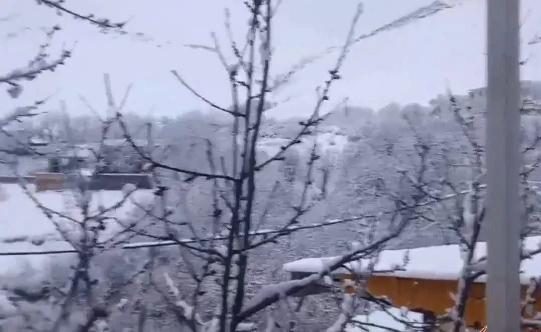 بارش برف در ساوه