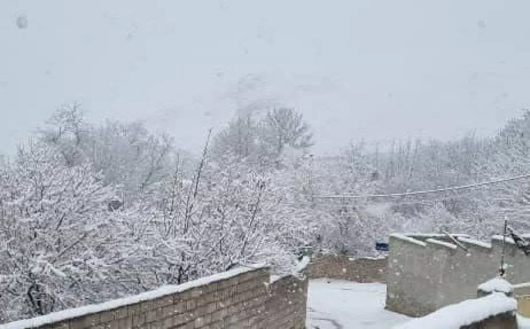 بارش برف در ساوه