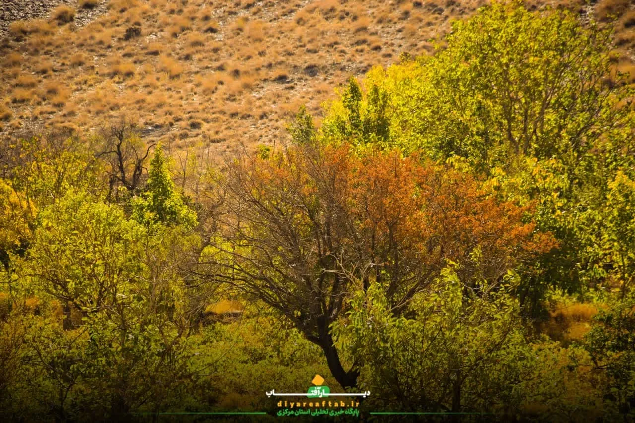 پاییز هزار رنگ در اراک