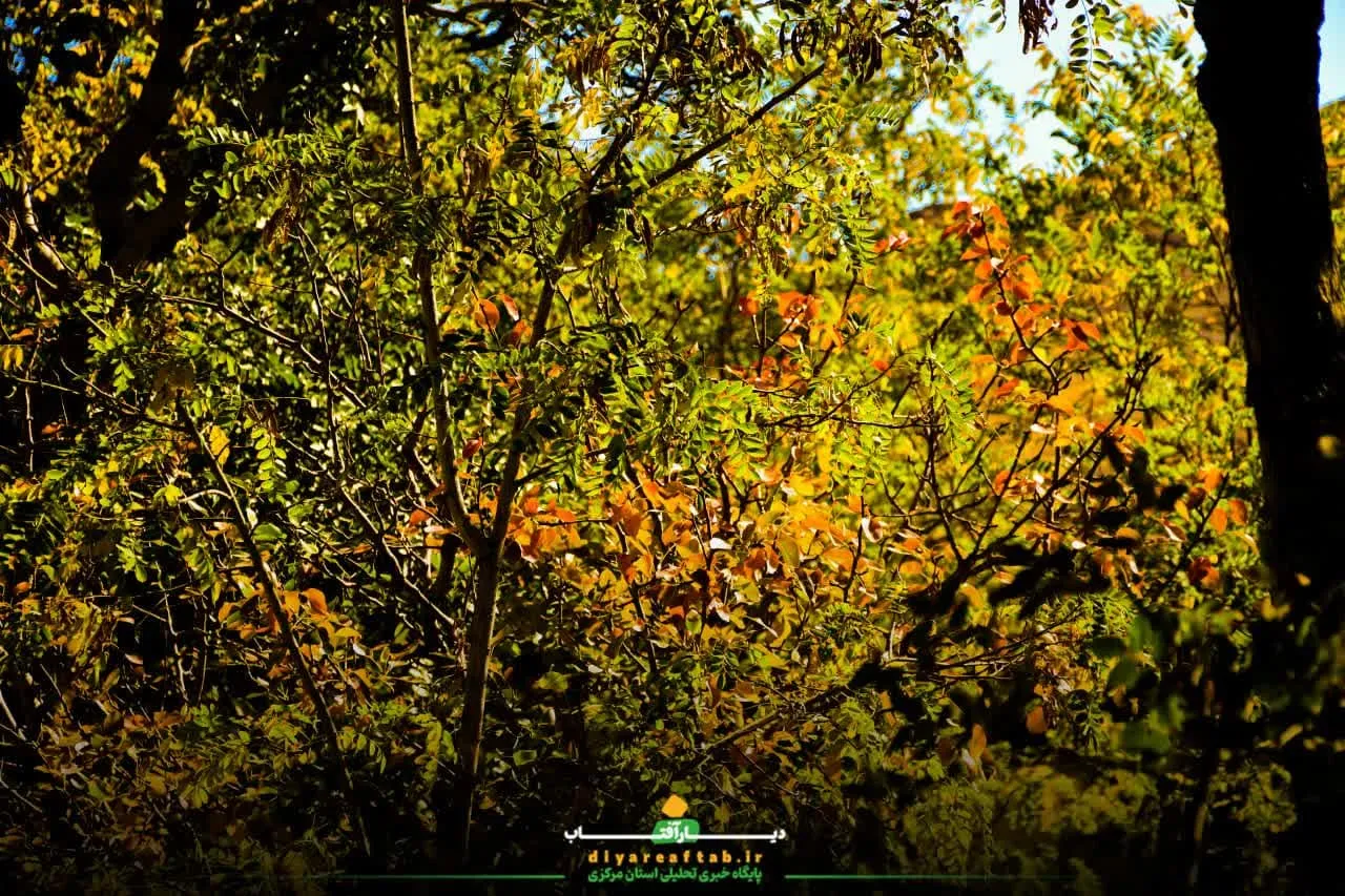 پاییز هزار رنگ در اراک