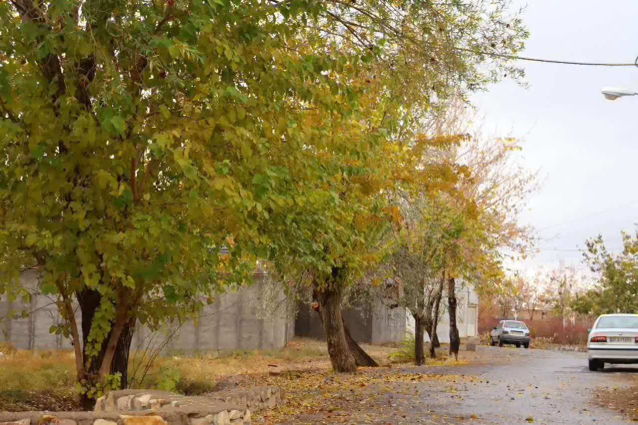 طبیعت فراهان در پاییز هزار رنگ