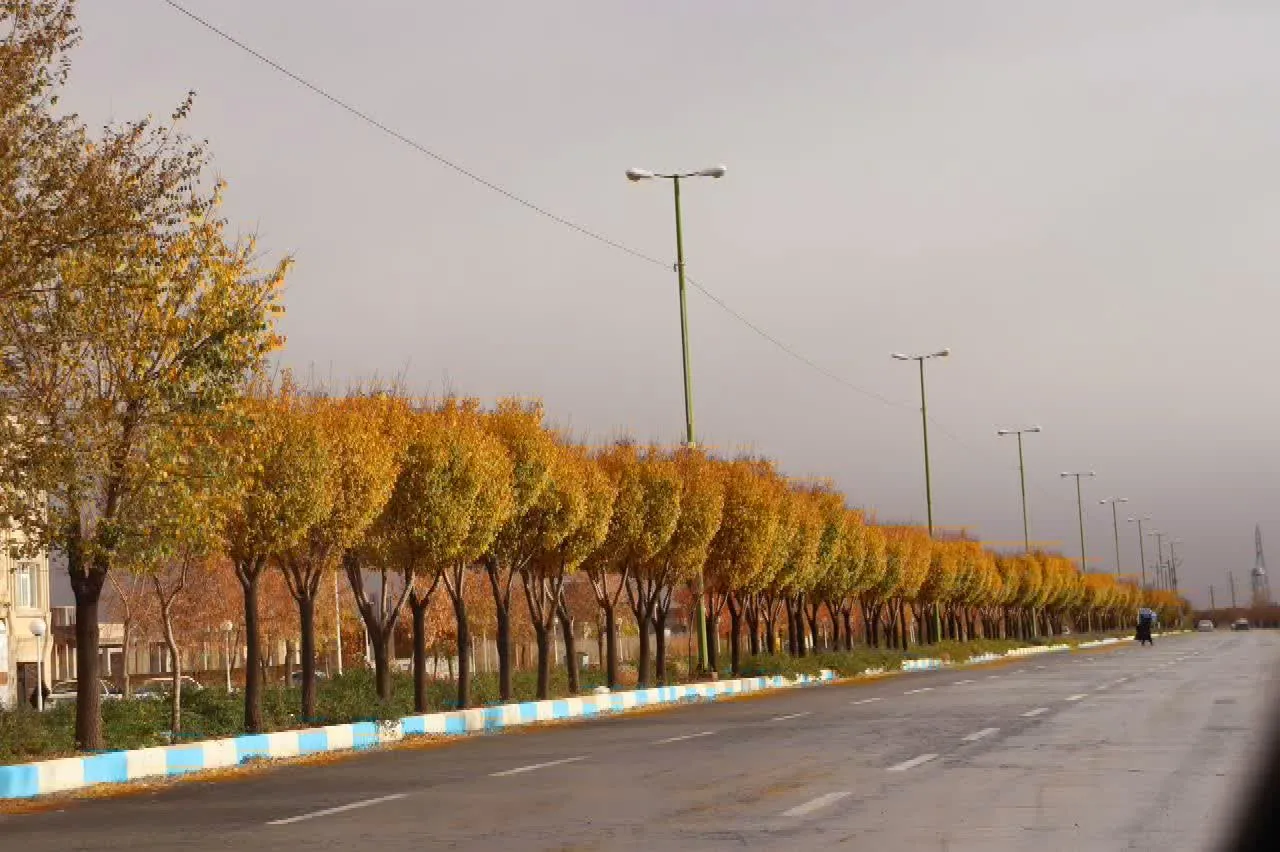 طبیعت فراهان در پاییز هزار رنگ