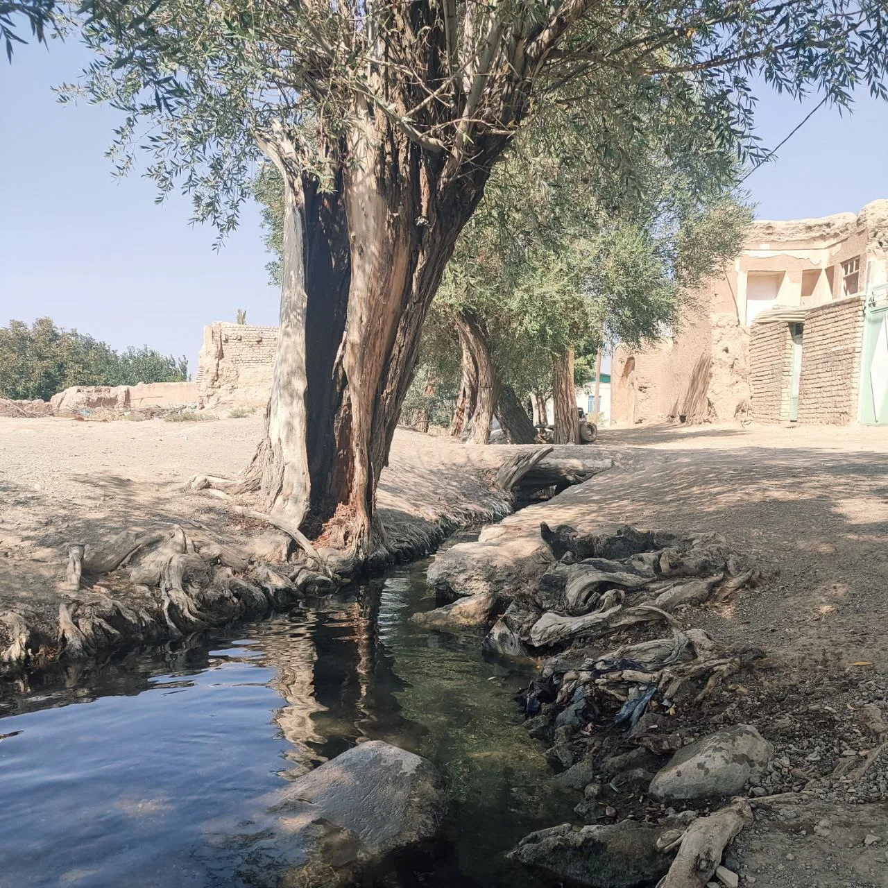 طبیعت فراهان در پاییز هزار رنگ
