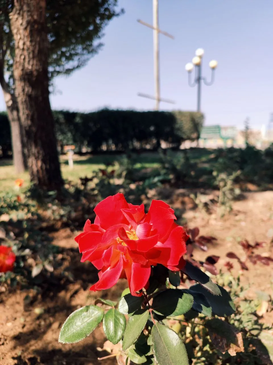 طبیعت فراهان در پاییز هزار رنگ
