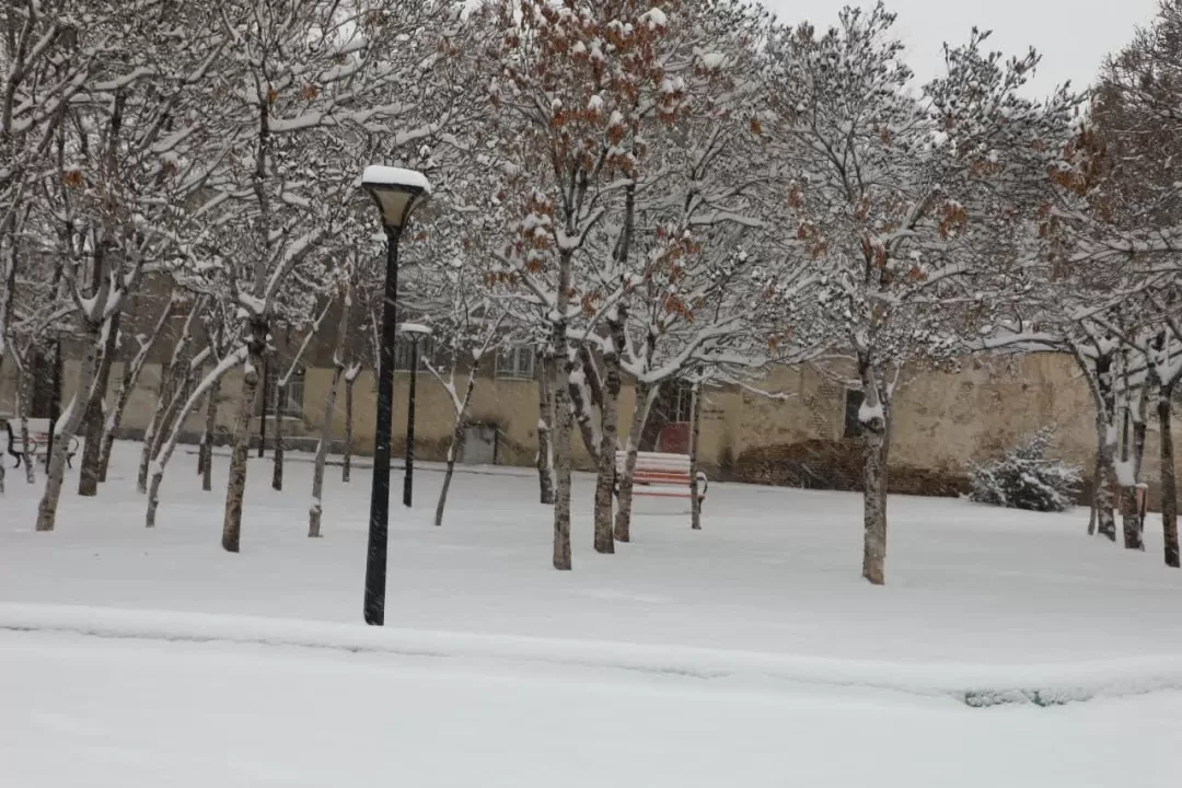 بارش مداوم  برف زمستانی در اراک