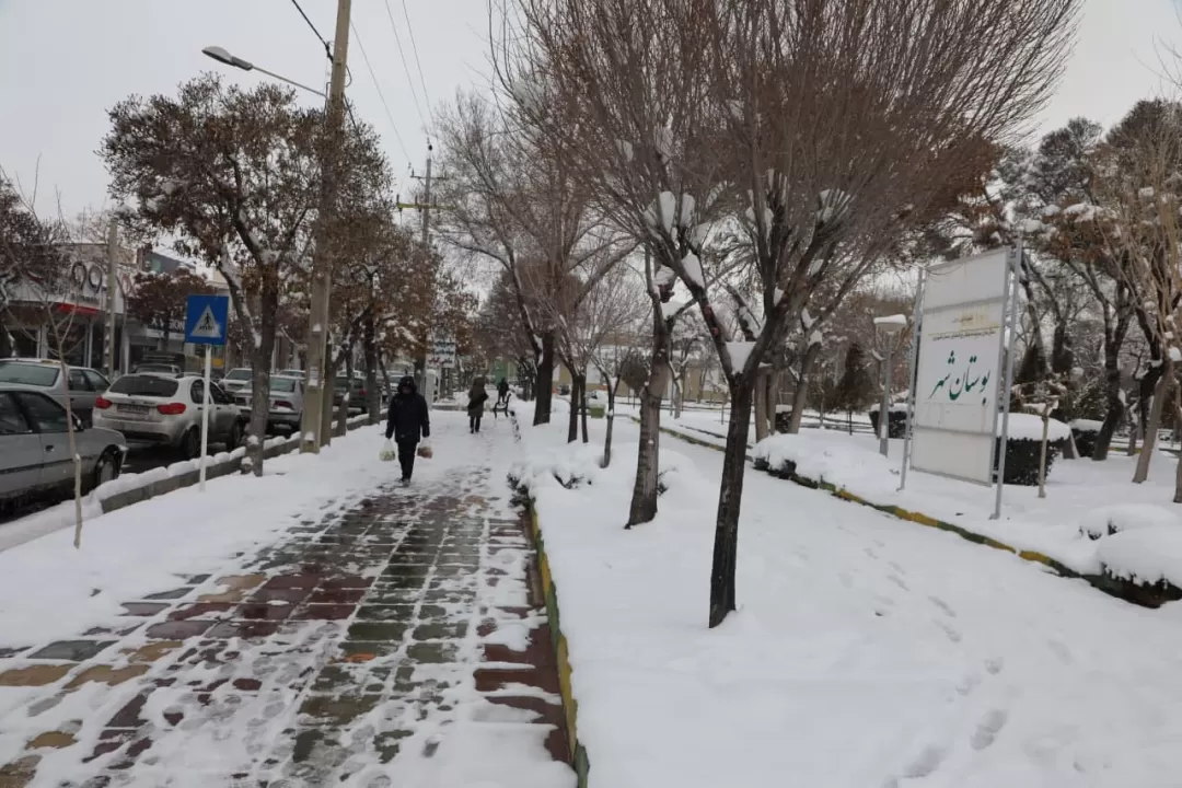 بارش مداوم  برف زمستانی در اراک