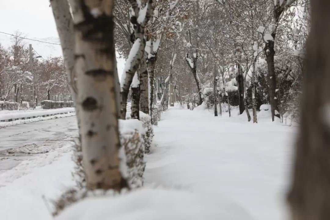زیبایی‌های اراک در یک روز برفی