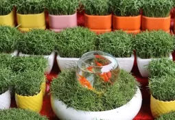 حال و هوای بازار شب عید در فراهان